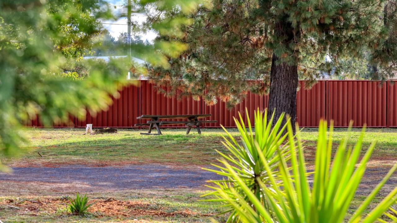 Silver Oaks Motel Gilgandra Exterior photo