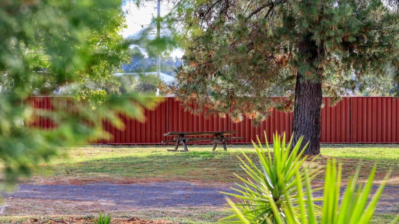 Silver Oaks Motel Gilgandra Exterior photo